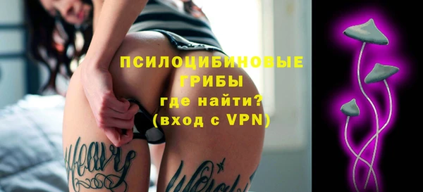 apvp Богданович